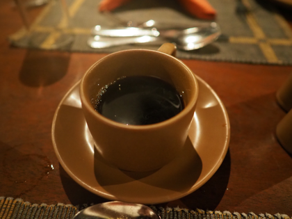 シギリヤ ヴィレッジ ホテル (Sigiriya Village Hotel) の体験記と写真:画像32