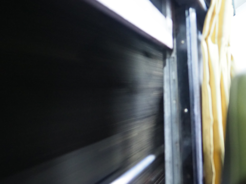 ヌワラ・エリヤ から キャンディ への列車の体験記と写真:画像26