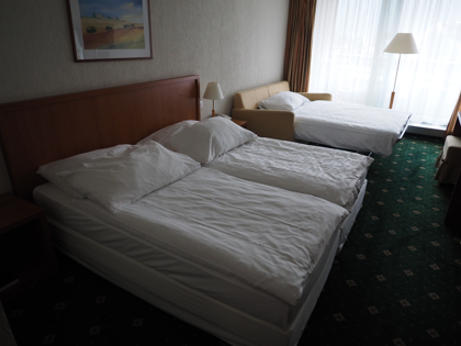 Hotel Metropole AG (インターラーケン) の体験記と写真:画像8