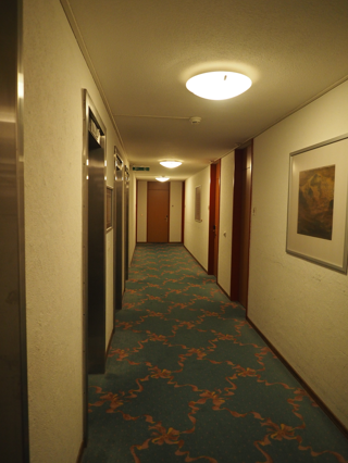 Hotel Metropole AG (インターラーケン) の体験記と写真:画像7