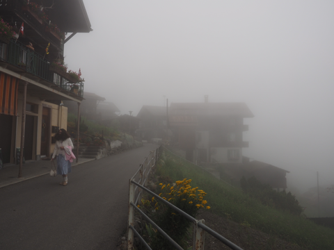 ミューレン (Murren) から ラウターブルンネン (Lauterbrunnen) の体験記と写真:画像24