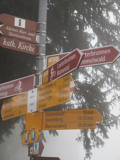 ミューレン (Murren) から ラウターブルンネン (Lauterbrunnen) の体験記と写真:画像30