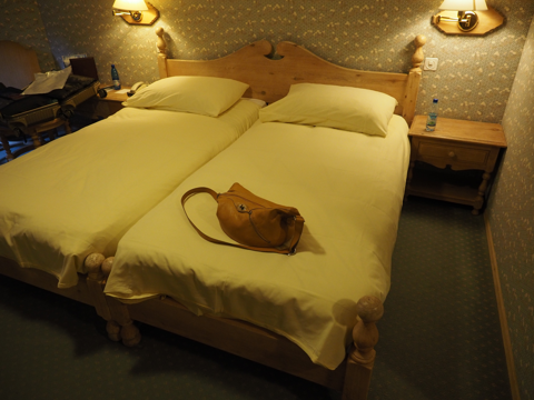 シュヴァイツァーホフ ツェルマット (Schweizerhof Zermatt) の体験記と写真:画像33