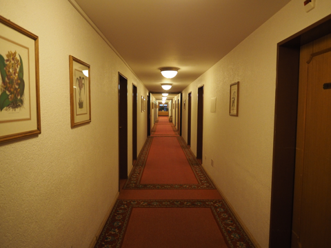 シュヴァイツァーホフ ツェルマット (Schweizerhof Zermatt) の体験記と写真:画像7