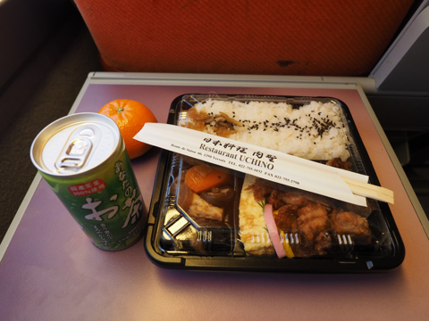 ジュネーブからパリへのTGV 列車 - TGV Lyria(リリア) の体験記と写真:画像28