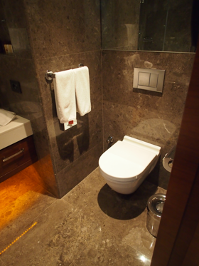 Sheraton Istanbul Ataköy Hotel の体験記と写真:画像9