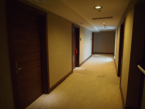 Dedeman Konya Hotel (デデマン コンヤ) の体験記と写真:画像6