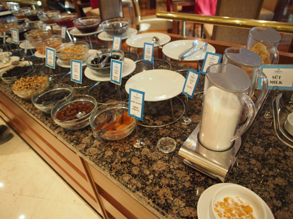 Dedeman Konya Hotel (デデマン コンヤ) の体験記と写真:画像27