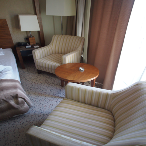 Dedeman Konya Hotel (デデマン コンヤ) の体験記と写真:画像38