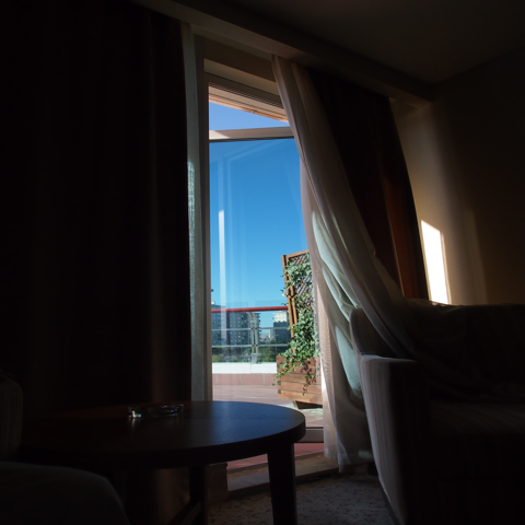 Dedeman Konya Hotel (デデマン コンヤ) の体験記と写真:画像39
