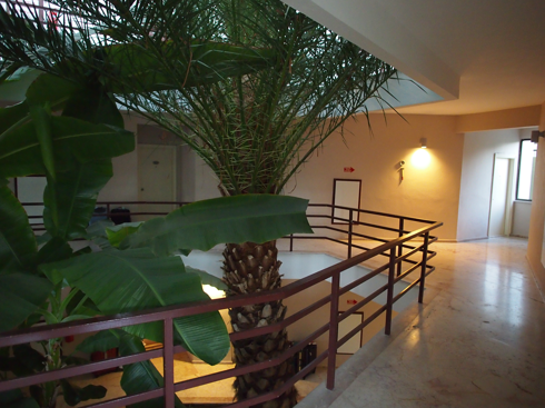 Pam Thermal Hotel (パム サーマル ホテル) の体験記と写真:画像9